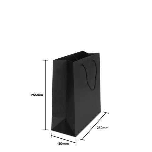 matt laminated rope handle paper bags black malaysia blk s s 1