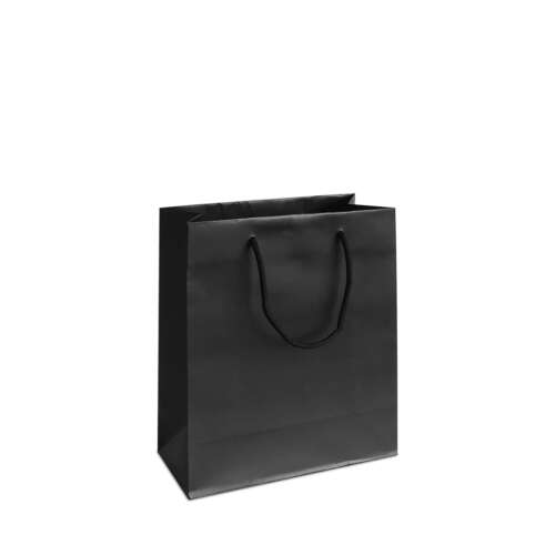 matt laminated rope handle paper bags black malaysiablk s 1