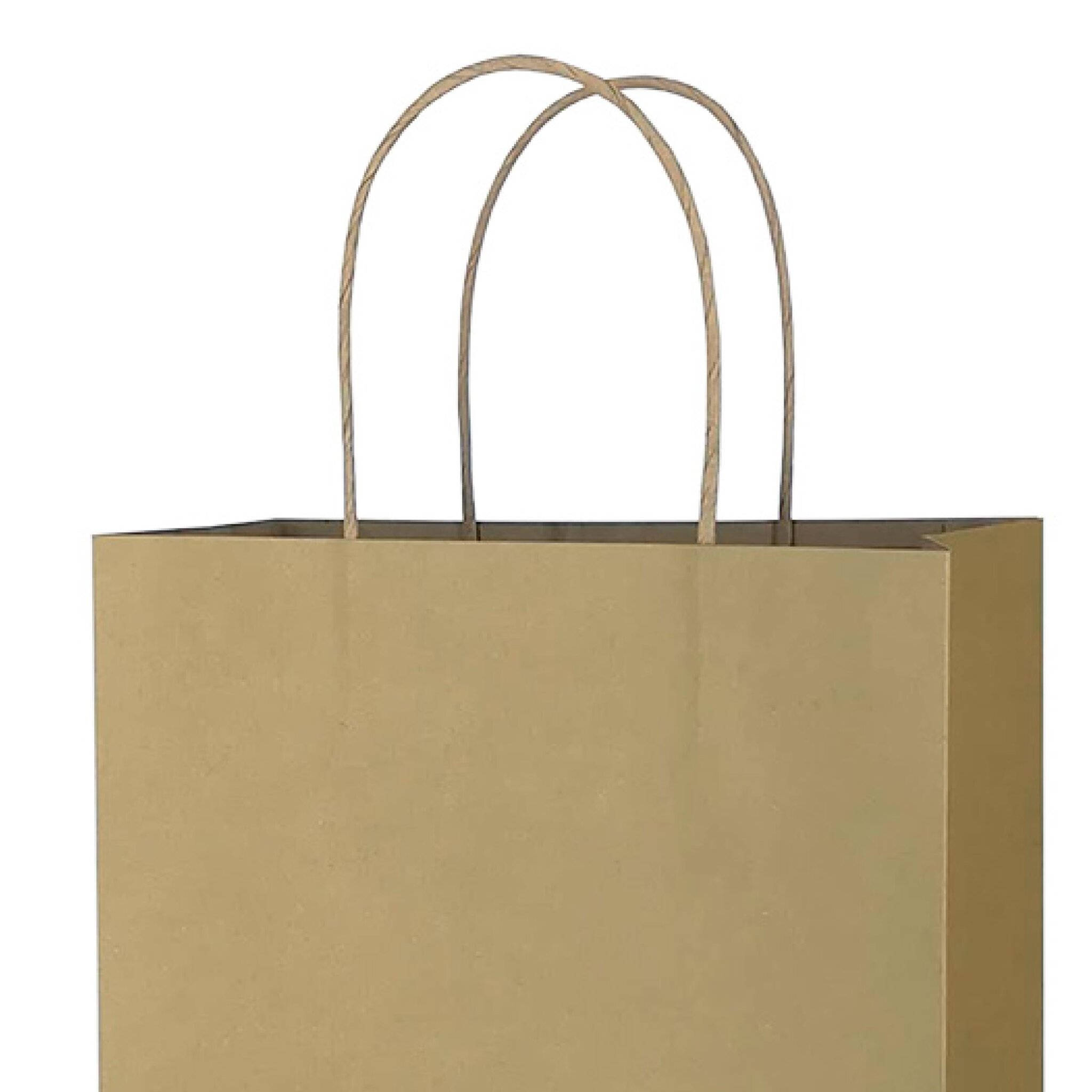 Kraft Paper Bag Black Paper Bag White Bag Color Bags — Store Age