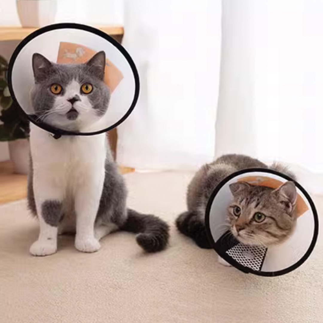 PS-COLLAR (2) PS COLLAR 2