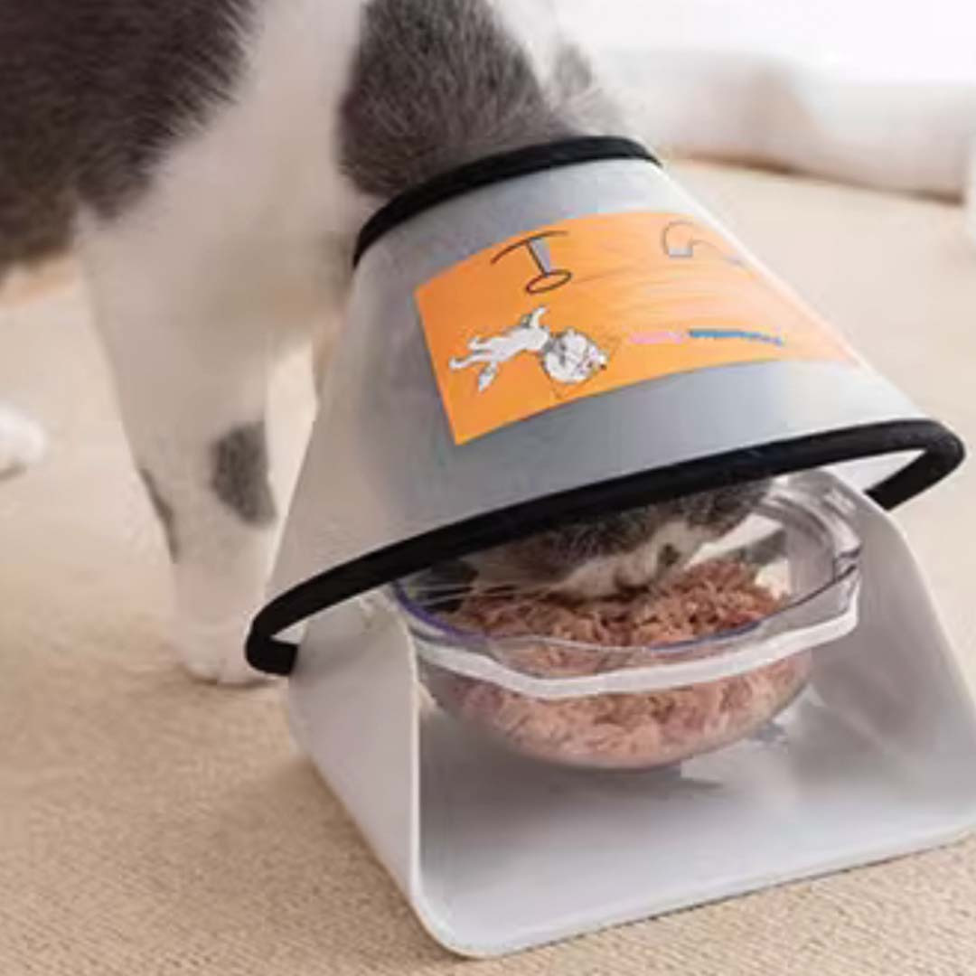 PS-COLLAR (3) PS COLLAR 3