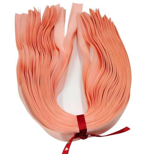 SA RIBBON CHA203 1
